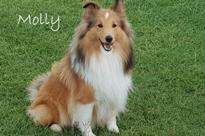 Molly