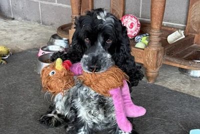 Maggie