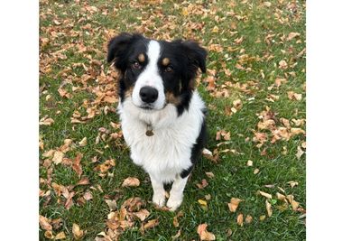 Jax
