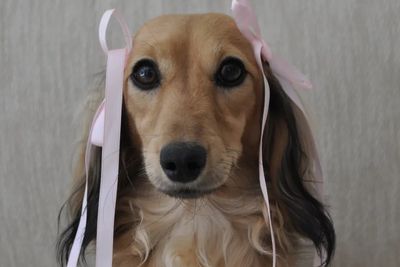 Delilah 