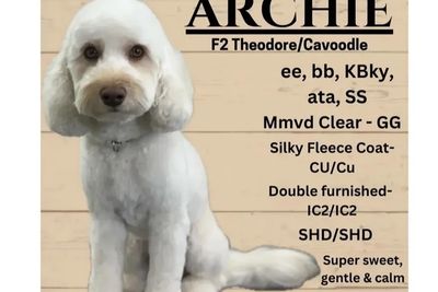 Archie