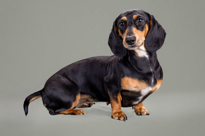 Maggie