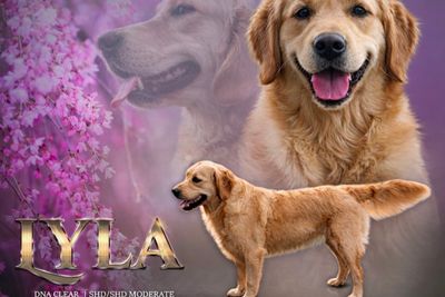 LYLA