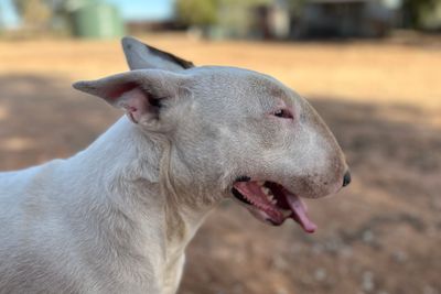 Floss