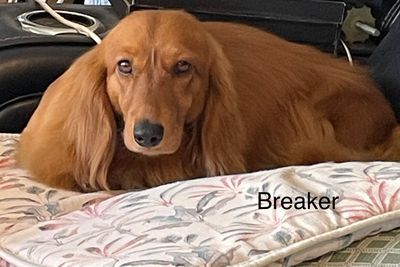 Breaker