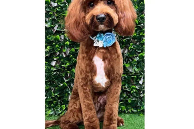 Stormtrooper