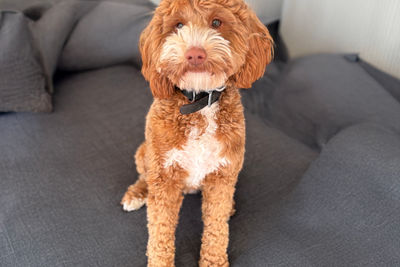 Burrinjuck Stitch ~ Murphy
