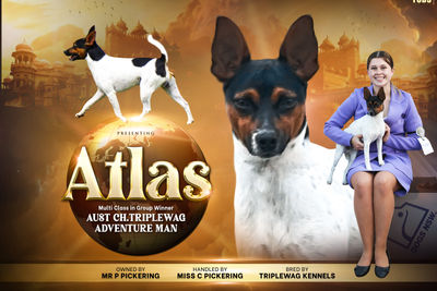Atlas 