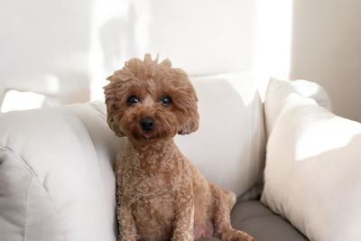 Rosie