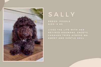 Sally 