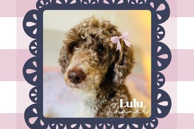 Lulu Chanel