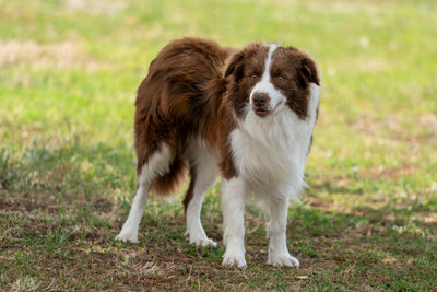 Mason