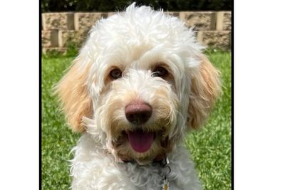 Tilly