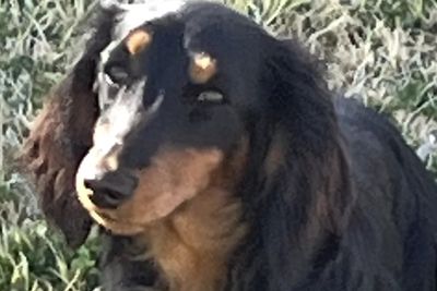 Athena 