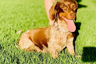 Zoey