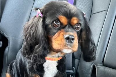 Peggy