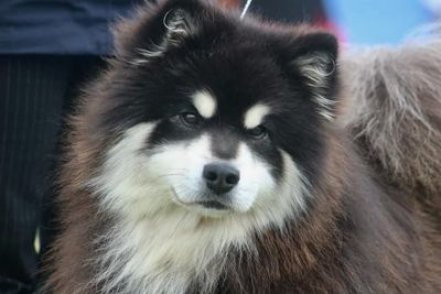 Hiro 