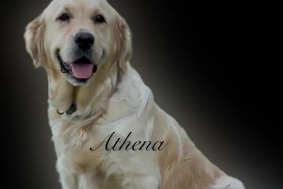 Athena