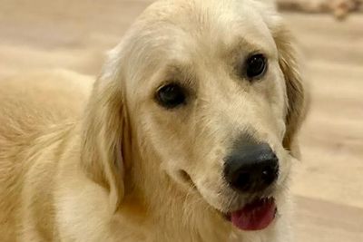 Marley