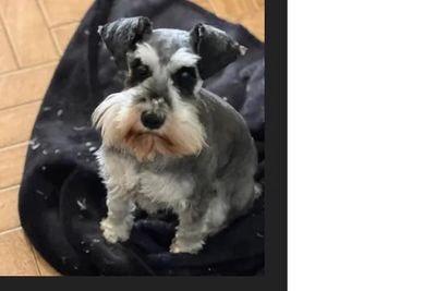 Maggie 