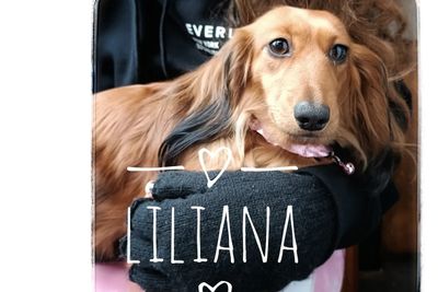 Lilliana