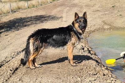 Hunter