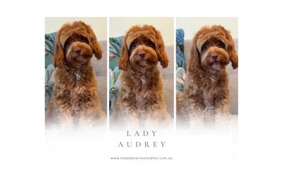 Audrey