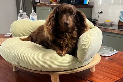Lola 
