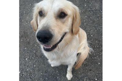 Hugo