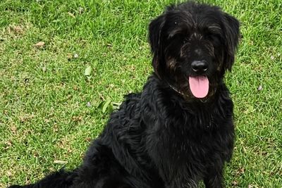 Whitney