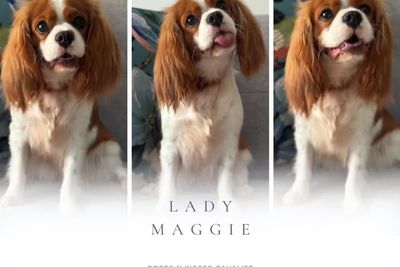 Maggie 