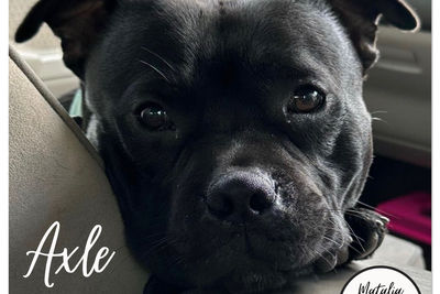Axle