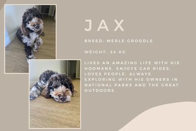 Jax