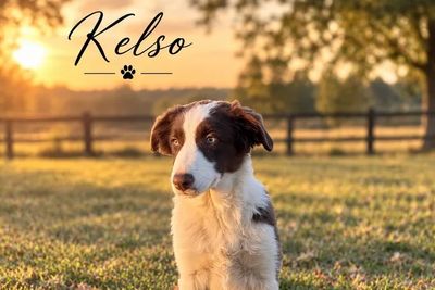 Kelso