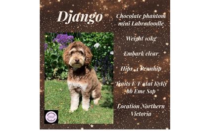 Django 