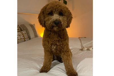 Winnie