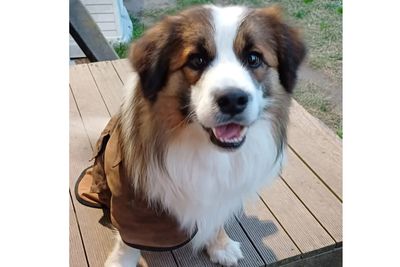 Beau