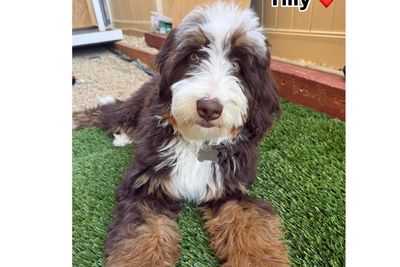 Tilly