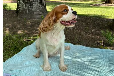 Maggie 