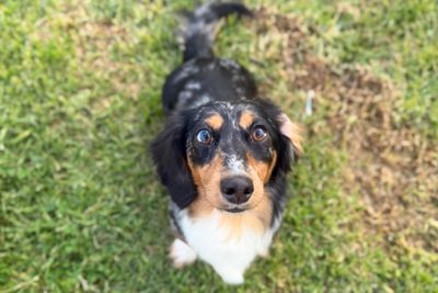 Winnie