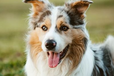 Murphy Finn