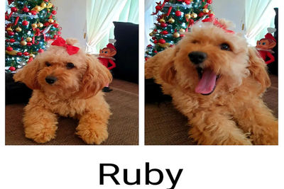 Ruby