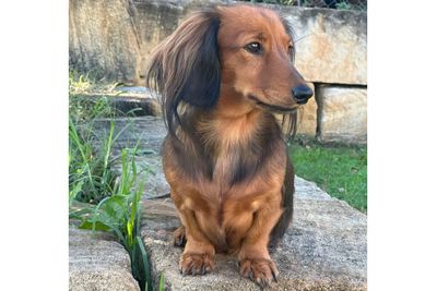 Chloe 