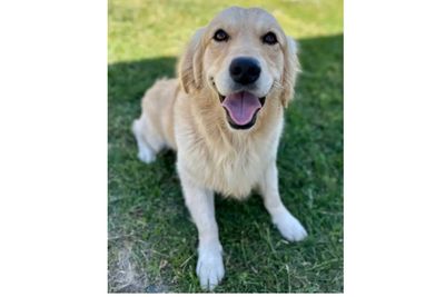 Bailey
