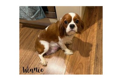 Winnie