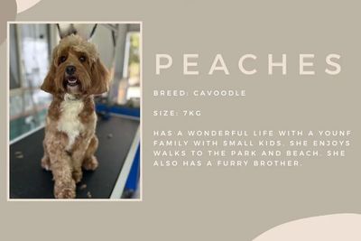 Peaches