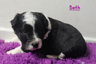 Beth