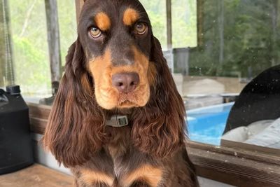 Edna 