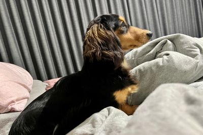 Murphy