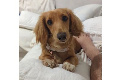 Rosie